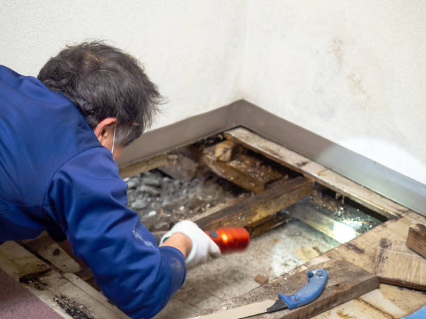 Best Bathroom Mold Remediation in Winston, OR