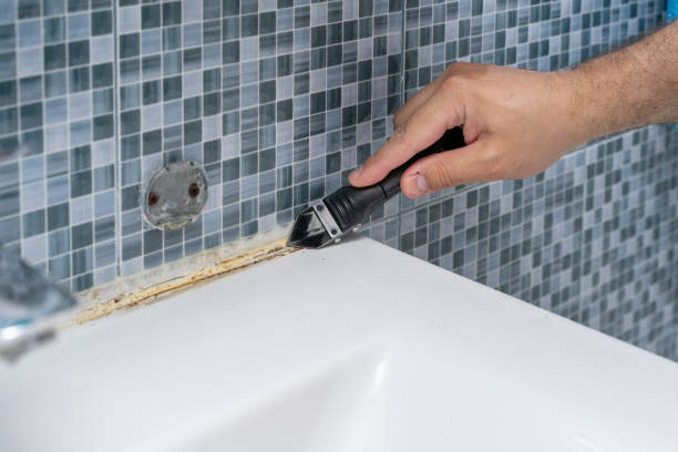 Best Mold Testing and Inspection Services in Winston, OR
