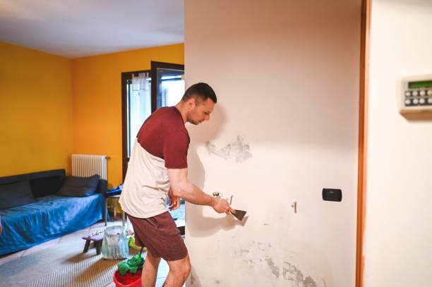 Best Post-Remediation Services in Winston, OR